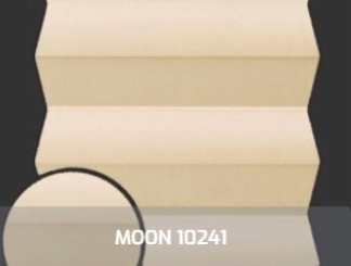 MOON10241