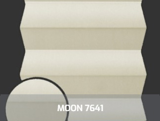 MOON7641