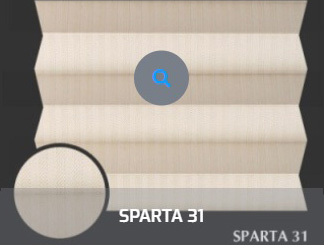 SPARTA31