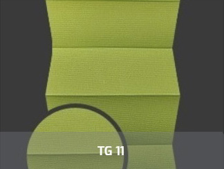 TG11